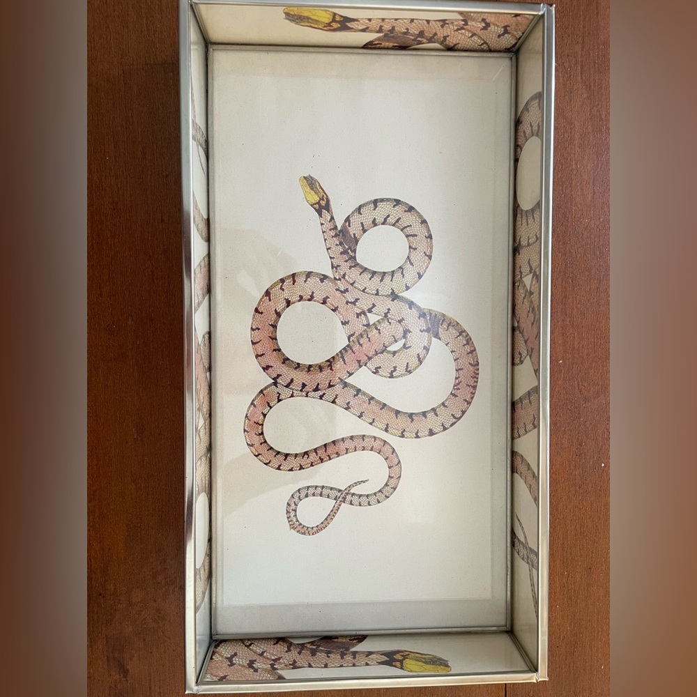 Serpent tray